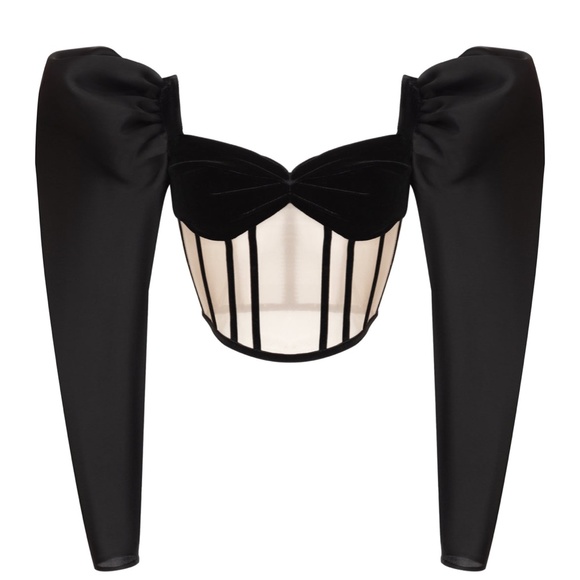 Rozie Corsets Tops - ROZIECORSETS Silk Velvet and Tulle Corset Top NWT